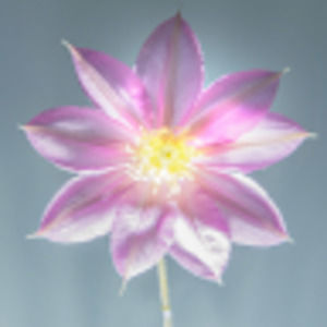 Meet your Posher, Aamnah